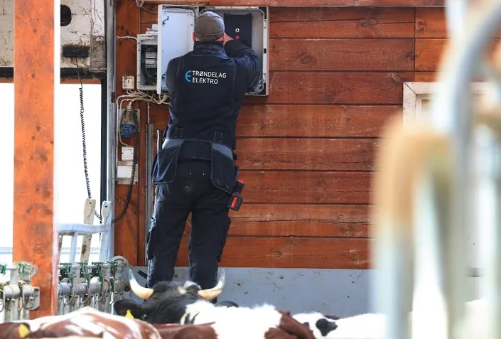 Trøndelag Elektro AS